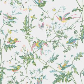 Cole And Son Wallpaper Hummingbirds 112/4015