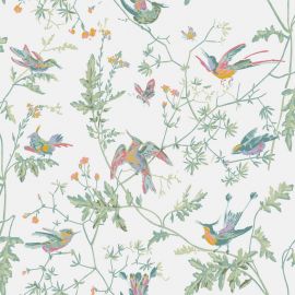 Cole And Son Wallpaper Hummingbirds 112/4016