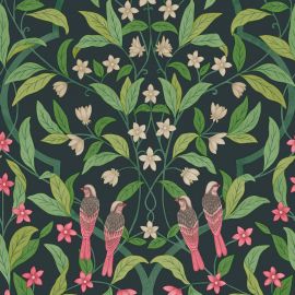 Cole And Son Wallpaper Jasmine & Serin Symphony 117/10028