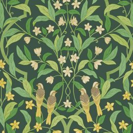 Cole And Son Wallpaper Jasmine & Serin Symphony 117/10029