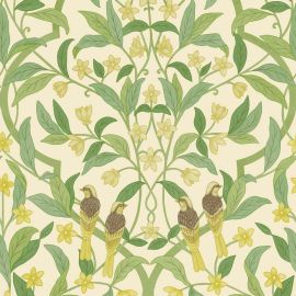 Cole And Son Wallpaper Jasmine & Serin Symphony 117/10031