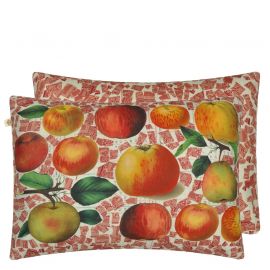 John Derian Cushion Apple Carmine