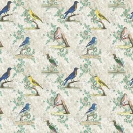 John Derian Fabric Wallpaper Birds Parchment