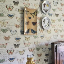 John Derian Wallpaper Butterfly Studies Parchment