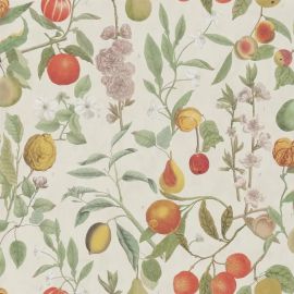 John Derian Wallpaper Orchard Fruits Parchment