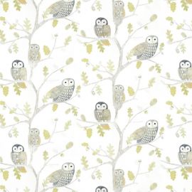 Harlequin Wallpaper Little Owls Kiwi
