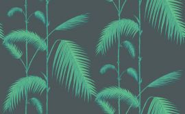 Cole And Son Wallpaper Palm Leaves 112/2007