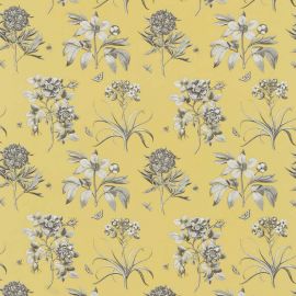 Sanderson Fabric Etchings And Roses Empire Yellow