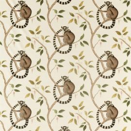 Sanderson Fabric Ringtailed Lemur Olive 