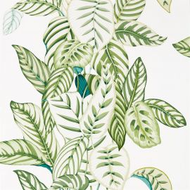 Sanderson Wallpaper Calathea Botanical Green