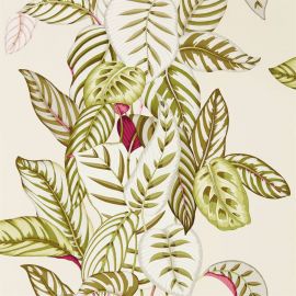 Sanderson Wallpaper Calathea Olive