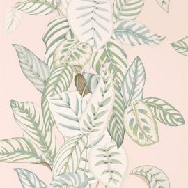 Sanderson Wallpaper Calathea Orchid/Eucalyptus