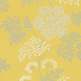 Sanderson Wallpaper Cowparsley Chinese Yellow