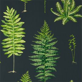 Sanderson Wallpaper Fernery Botanical Green/Charcoal