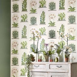 Sanderson Wallpaper Terrariums Chalk/Green