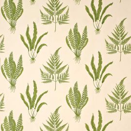 Sanderson Fabric Woodland Ferns Green