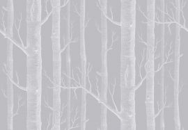 Cole And Son Wallpaper Woods 112/3012