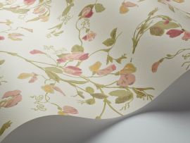 Cole And Son Wallpaper Sweet Pea 100/6028