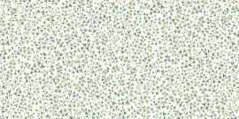 Cole And Son Wallpaper Maidenhair 115/6018