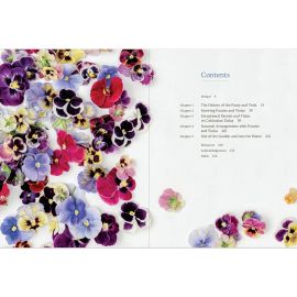 Pansies By Brenna Estrada