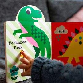 Peekaboo Dinosaur