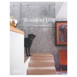 Resident Dog By Nicole England