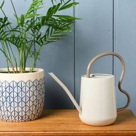 Burgon & Ball Collector Scalloped Indoor Watering Can Mushroom