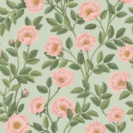 Cole And Son Wallpaper Hampton Roses 118/7014