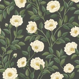 Cole And Son Wallpaper Hampton Roses 118/7016