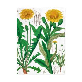 Museum Tea Towel Dandelion 