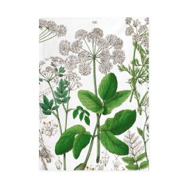 Museum Tea Towel Elderberry Hortus Botanicus