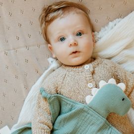 Over The Dandelions Organic Muslin Lovey Dinosaur Blue