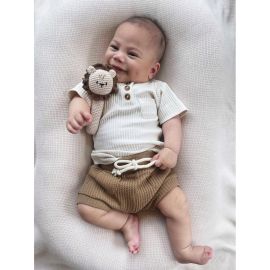 Over The Dandelions Rattle Crochet Lion