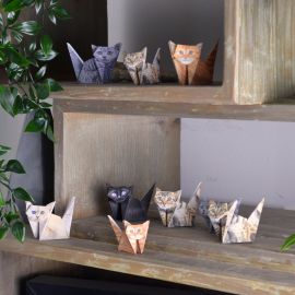 Pikkii Paper Cats