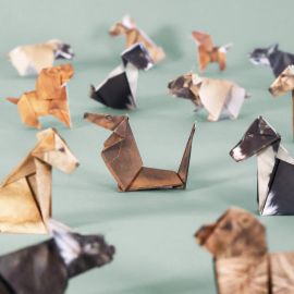Pikkii Paper Pups