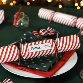 Paperie Christmas Cracker Candy Cane