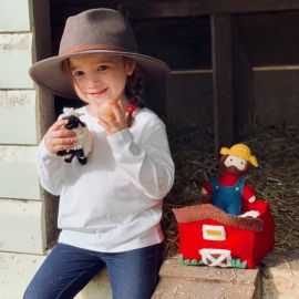 Pashom Farmyard Play Set