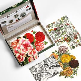 Pepin Letter Writing Set Floral Prints