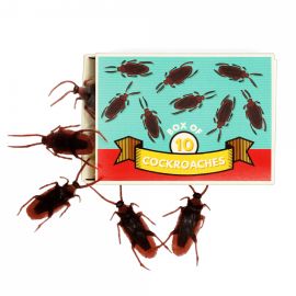 Rex Classic Jokes Box of 10 Cockroaches