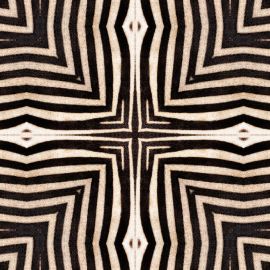 Mind The Gap Wallpaper Serengeti