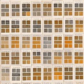 Mind The Gap Wallpaper Traite des Couleurs