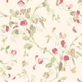 Cole And Son Wallpaper Sweet Pea 100/6028