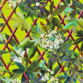 Christian Lacroix Wallpaper Canopy Lime - 2 ROLLS EX-STOCK