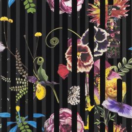 Christian Lacroix Wallpaper Babylonia Nights Soft Crepuscule