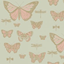 Cole And Son Wallpaper Butterflies & Dragonflies 103/15063