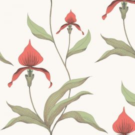 Cole And Son Wallpaper Orchid 95/10054