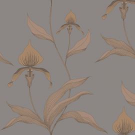 Cole And Son Wallpaper Orchid 95/10056