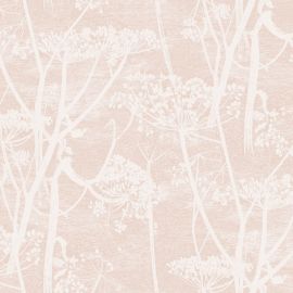 Cole And Son Wallpaper Cow Parsley 112/8028