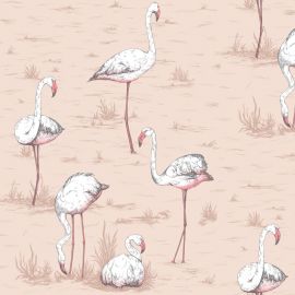 Cole And Son Wallpaper Flamingos 112/11039