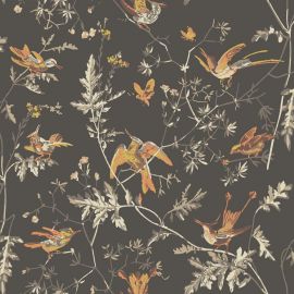 Cole And Son Wallpaper Hummingbirds 112/4017